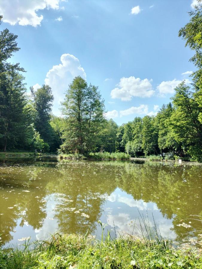 Les Capucines La Souris Des Champs Lejlighed Étival-Clairefontaine Eksteriør billede